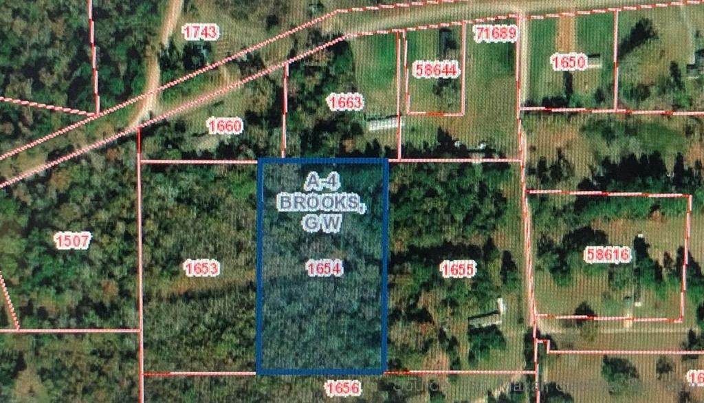 11552 Cravens Camp Road - Photo 1