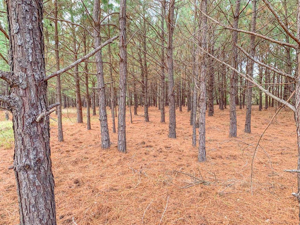 000 Fm 1669 - Photo 1