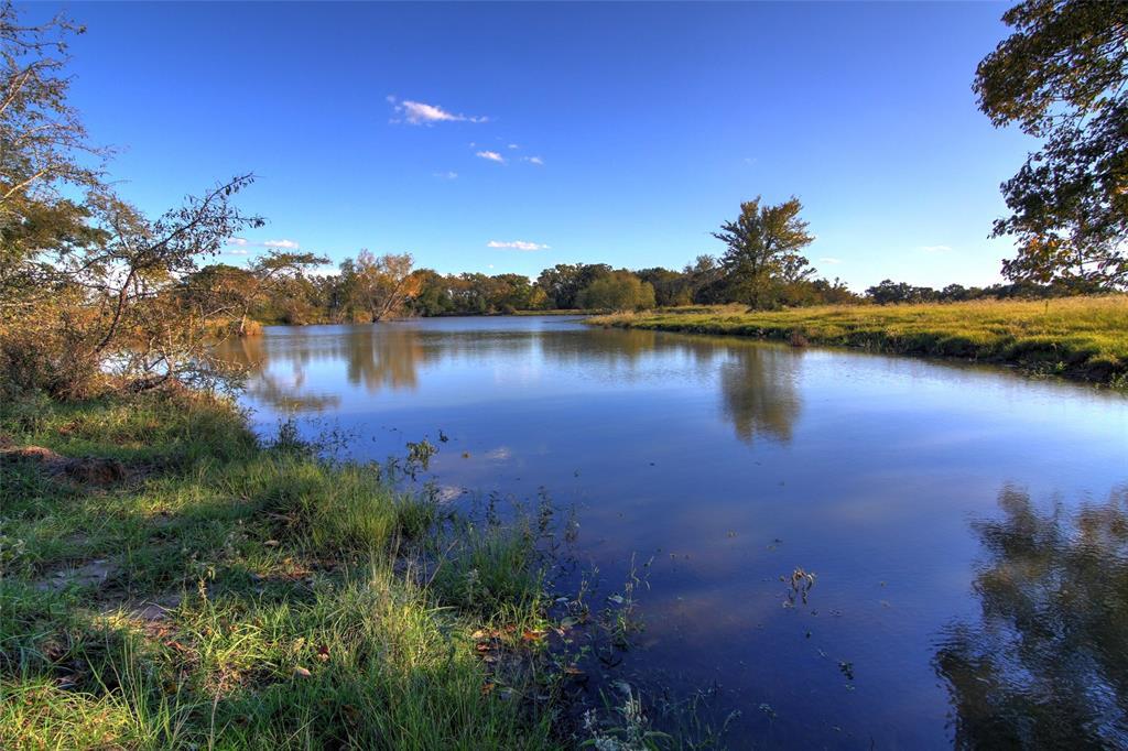 TBD County Road 415 - Photo 1
