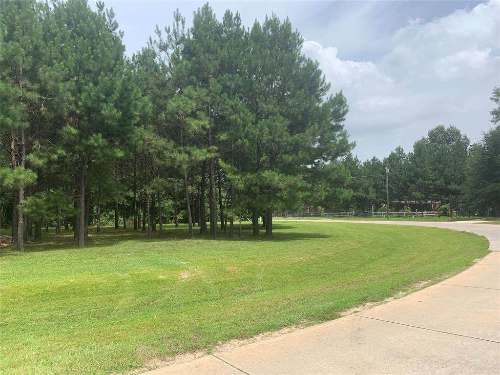223 County Road 3405 - Photo 1