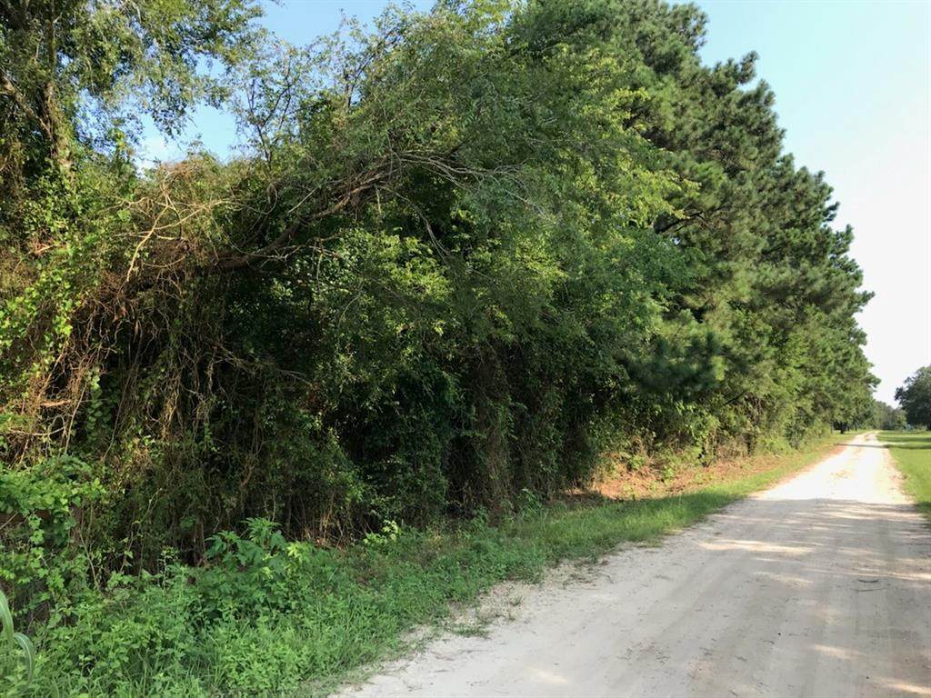 TBD Morgan Road - Photo 1