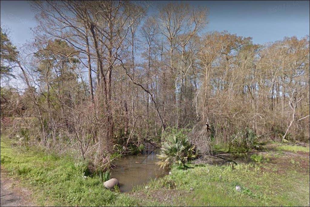 10 Bayou Bend - Photo 1