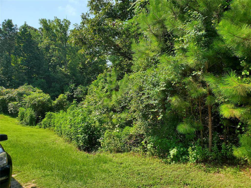 Lot 191 Casablanca Drive - Photo 1