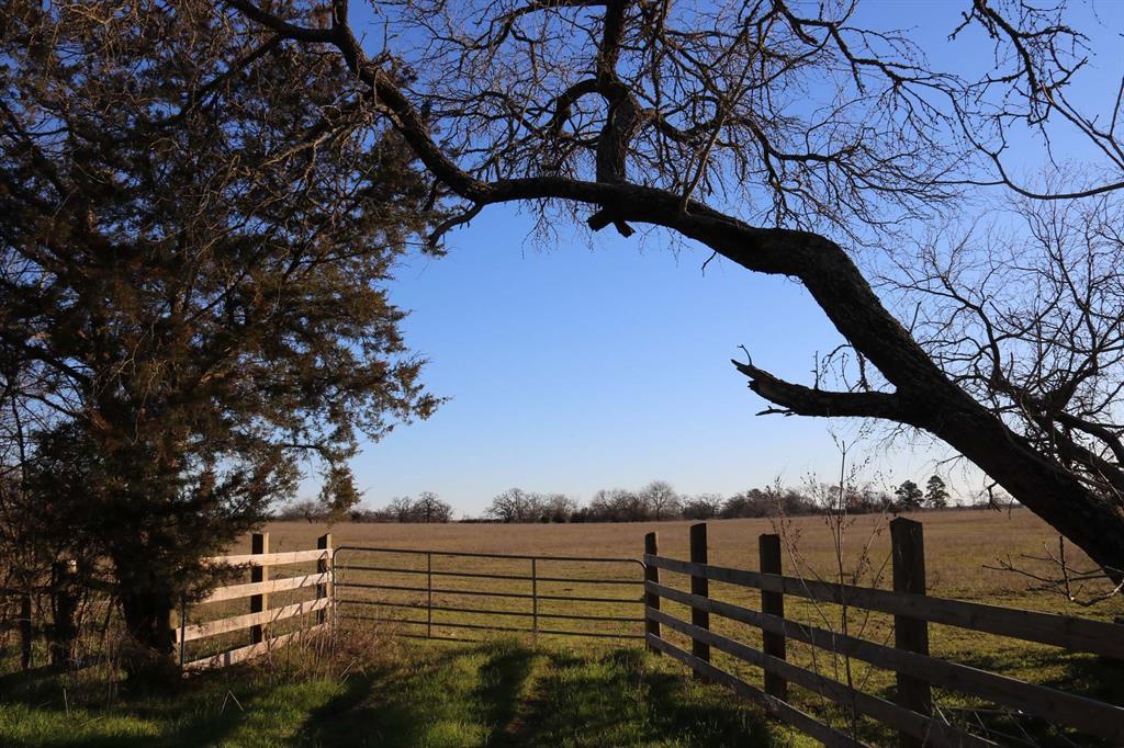 0010 Old Springfield Road - Photo 1
