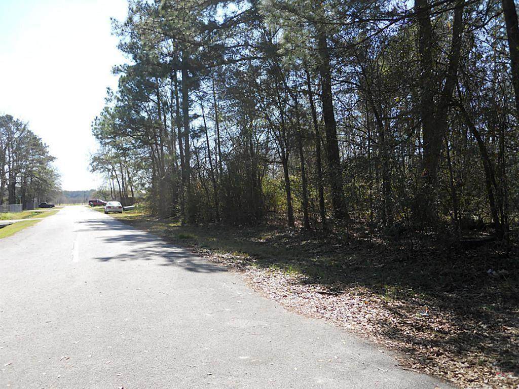 0 Cayey Drive - Photo 1