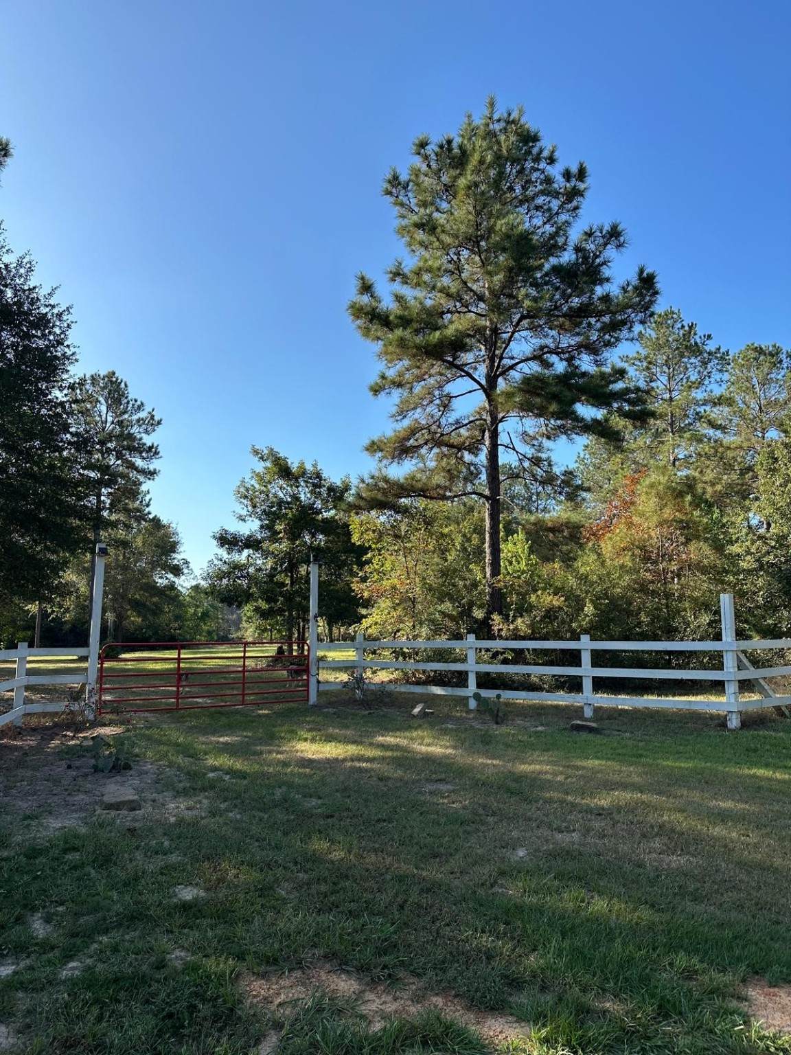 8958 Walker Road - Photo 1