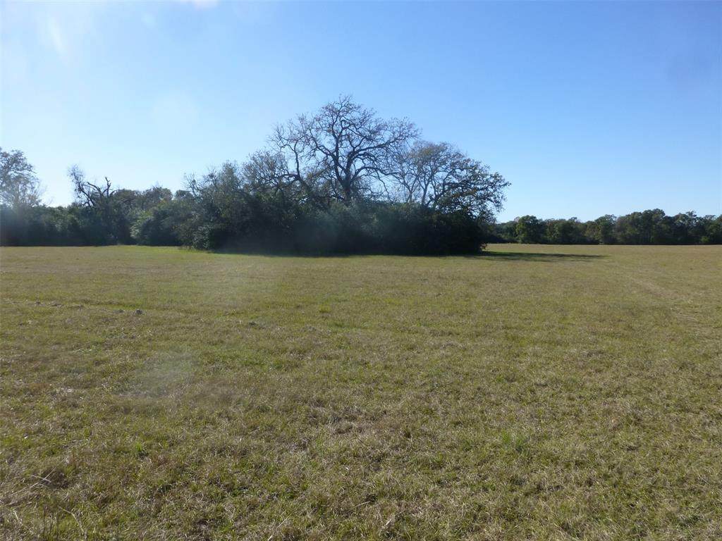 511 Blassingame Road - Photo 1