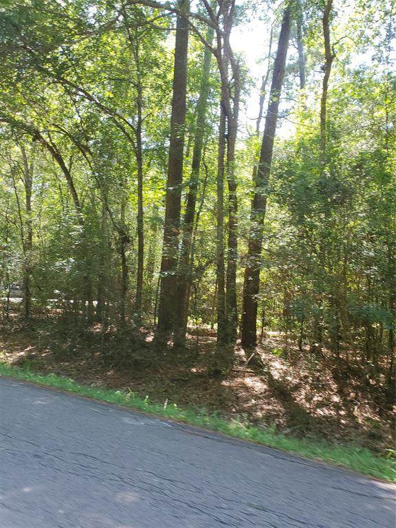 Lot 14 Dogwood - Photo 1