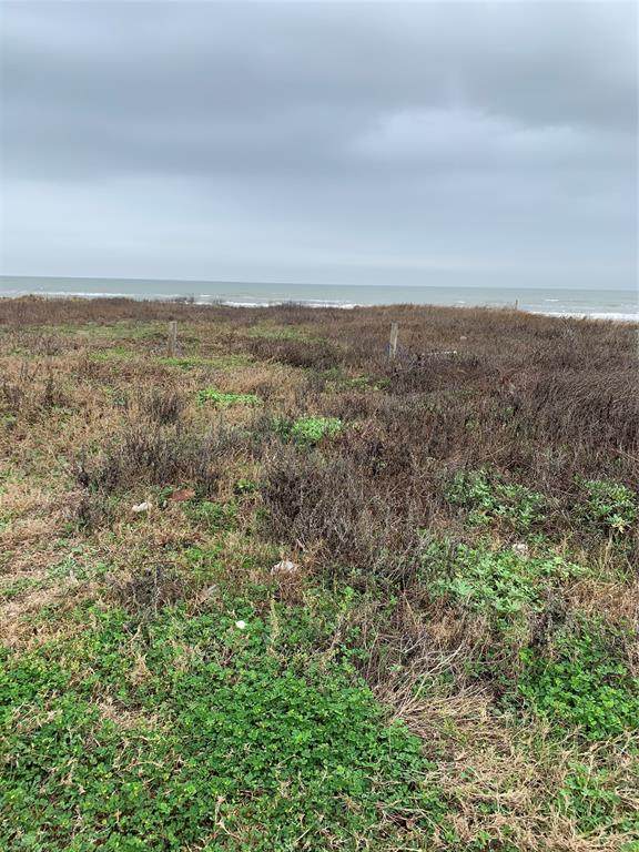 768 Bolivar Dunes Boulevard - Photo 1