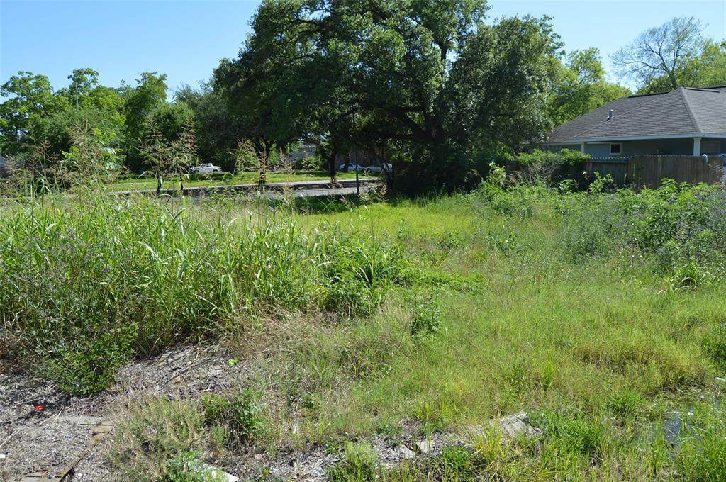 4536 Rosemont Street - Photo 1