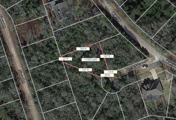 Lot 20 Squaw - Photo 1