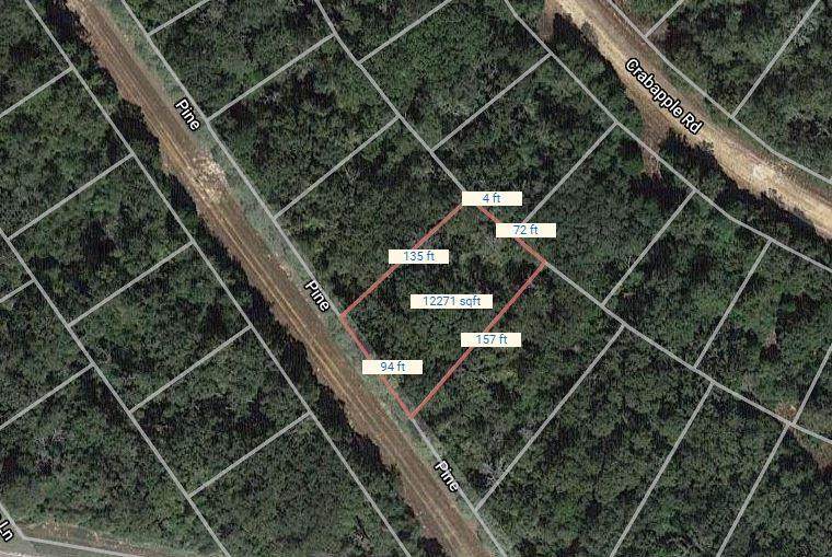 Lot 47 Pine Lane - Photo 1