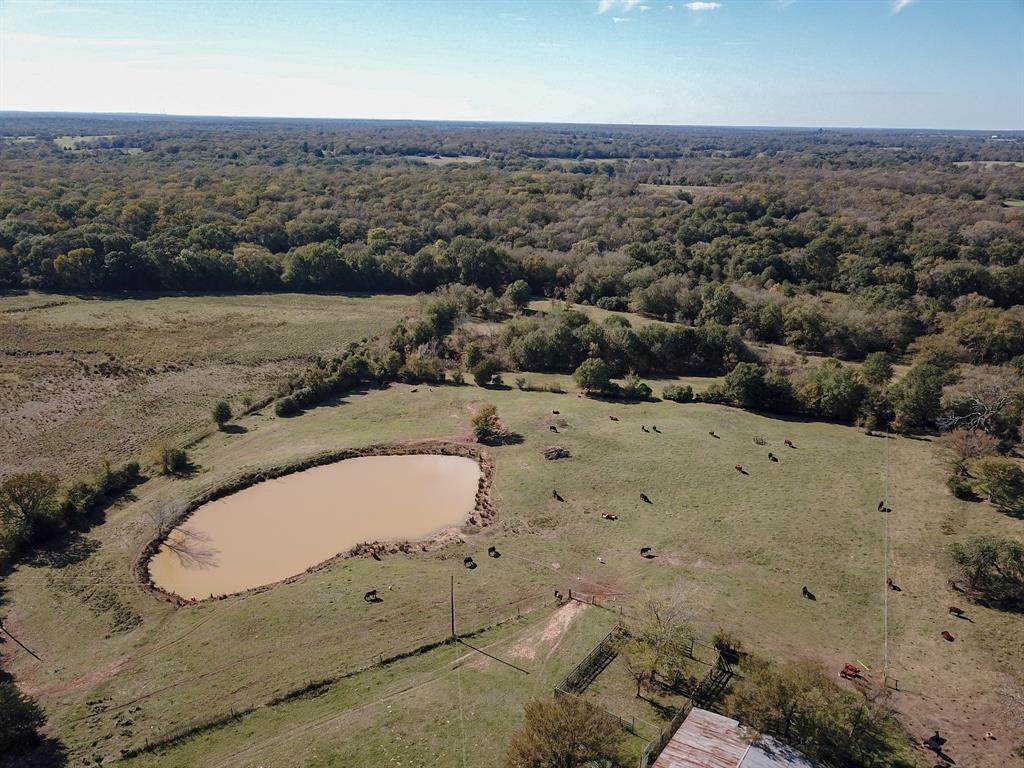 TBD County Road 348 - Photo 1