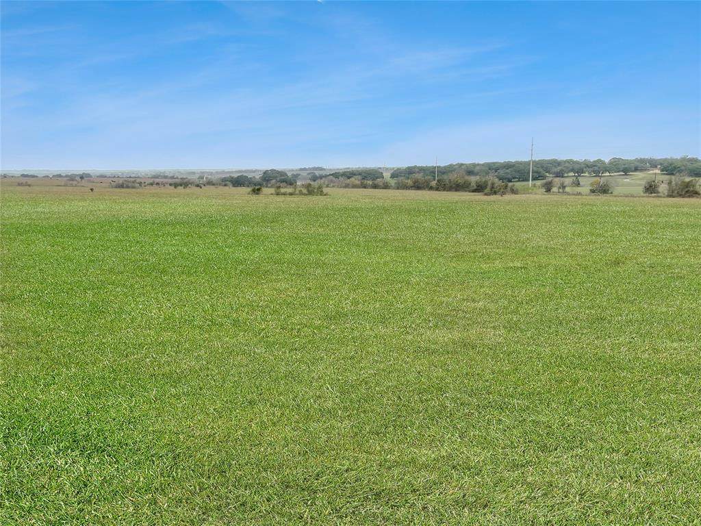 (6.5 acres)TBD Wiedemann Road - Photo 1