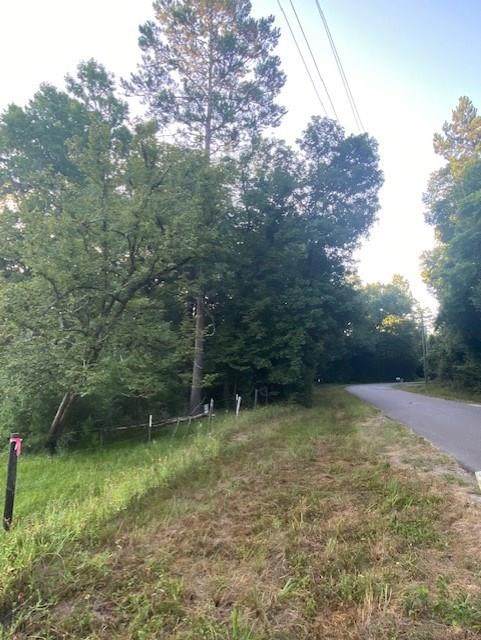 Tract 4 Cedar Lane Loop - Photo 1