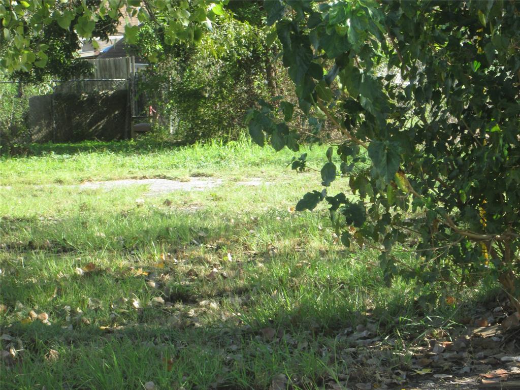0 Kelton Street - Photo 1