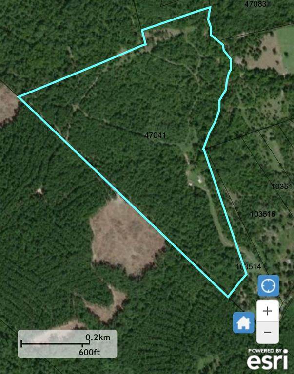 2220 Harrell Road - Photo 1