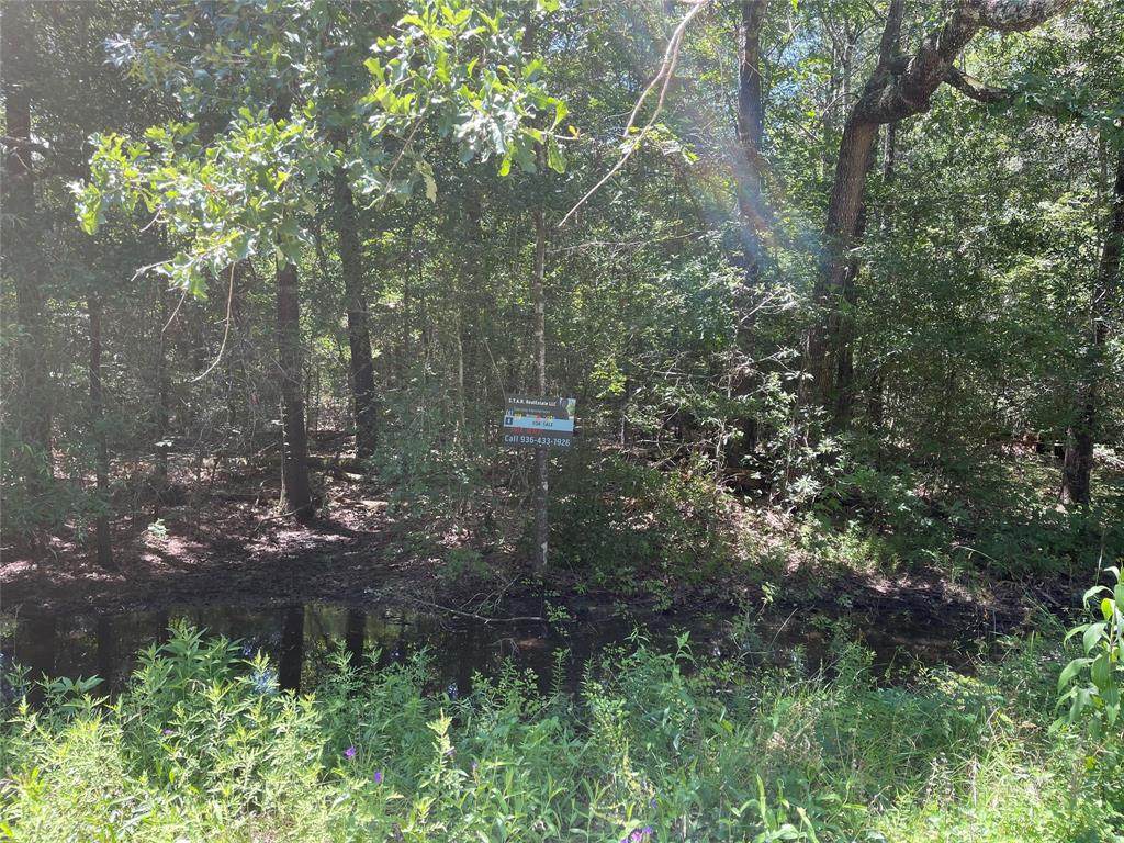 311 Bayberry Drive - Photo 1