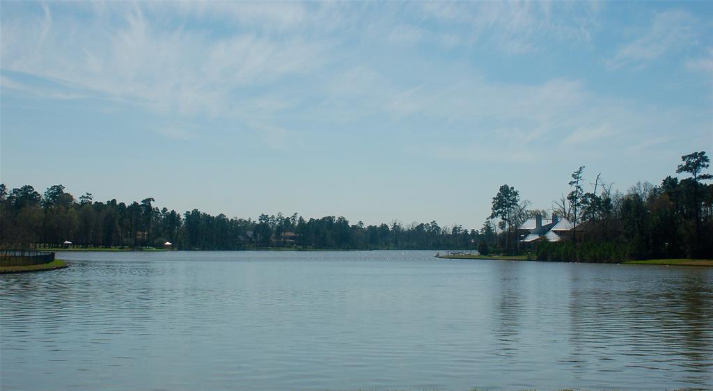 27325 Lazy Meadow Way - Photo 1