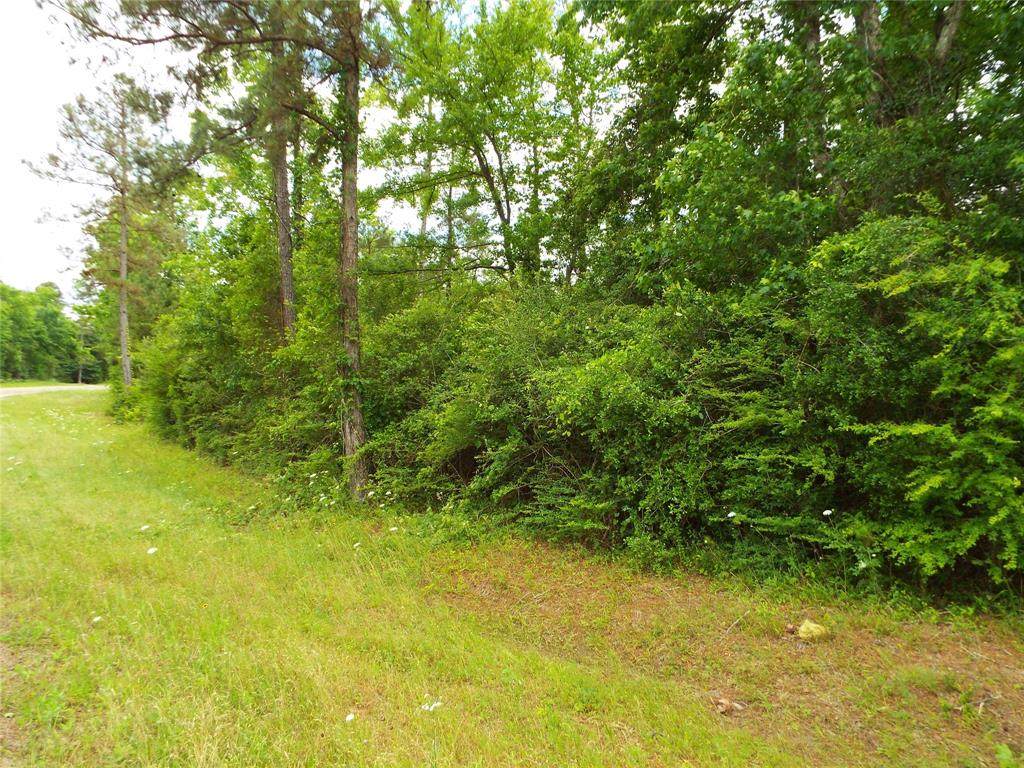 TBD Fm 2973 - Photo 1