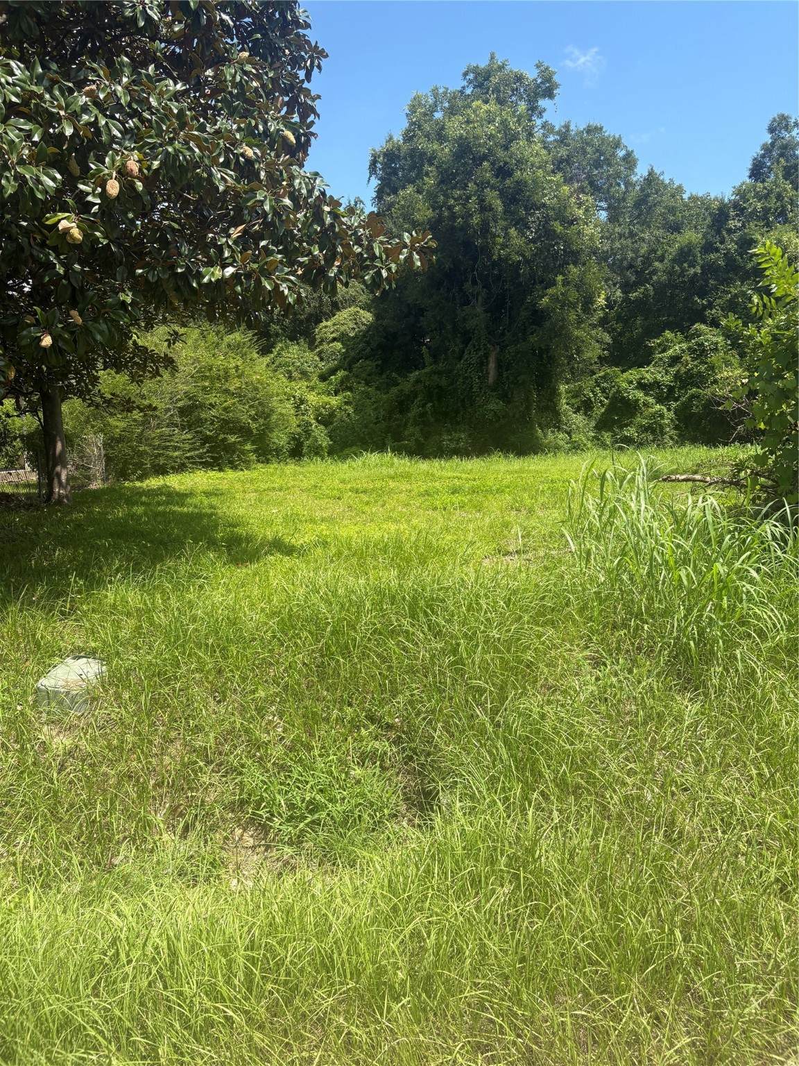 225 Delaware Street - Photo 1