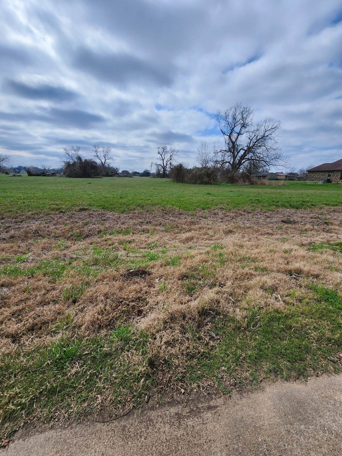 1549 Quarter Horse Trail - Photo 1