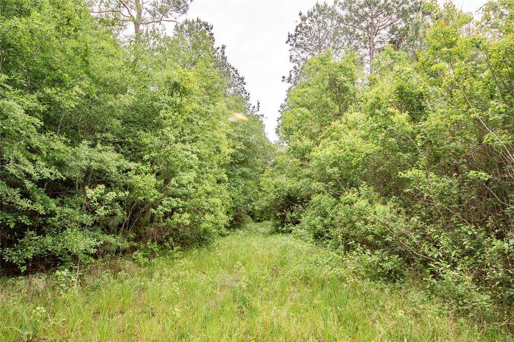 Tract A County Road 2184 - Photo 1