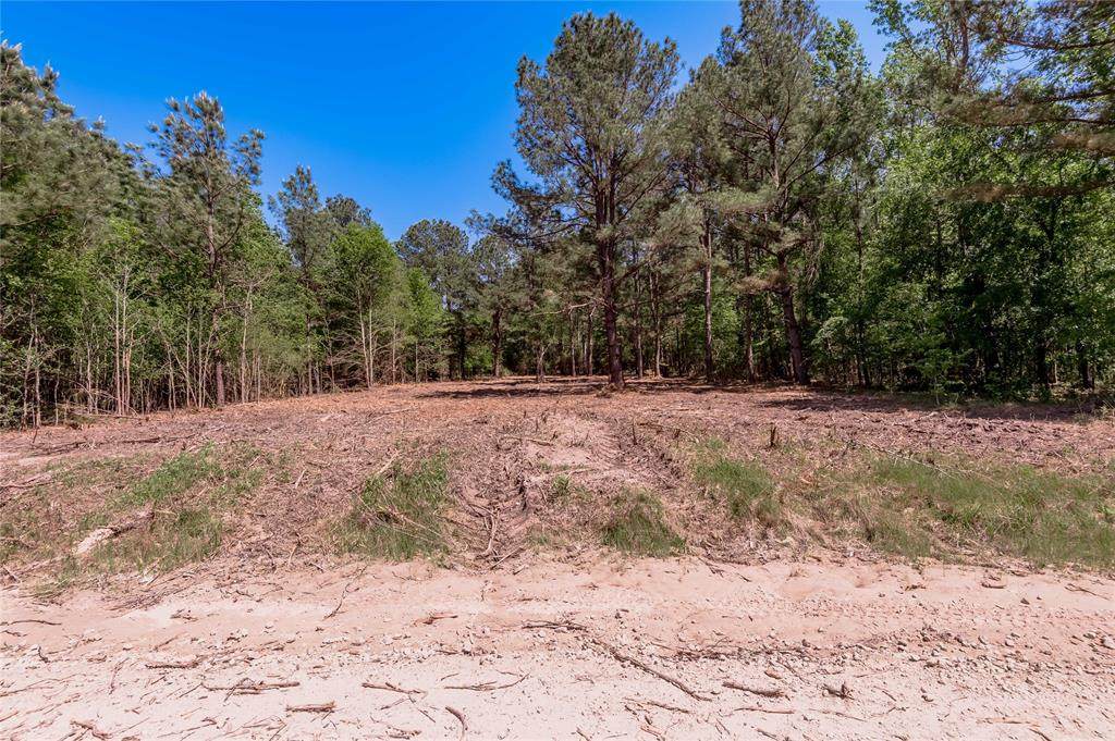 6077 Tract 4 Cr 4200 - Photo 1