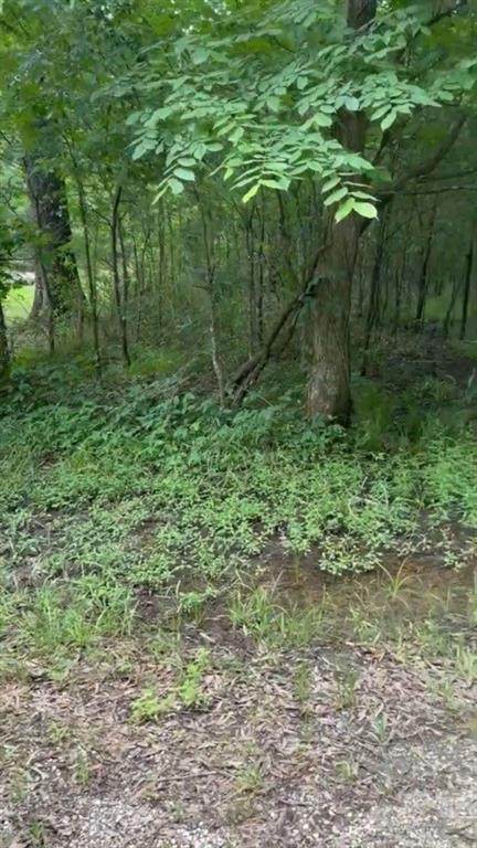2851 County Rd Road - Photo 1