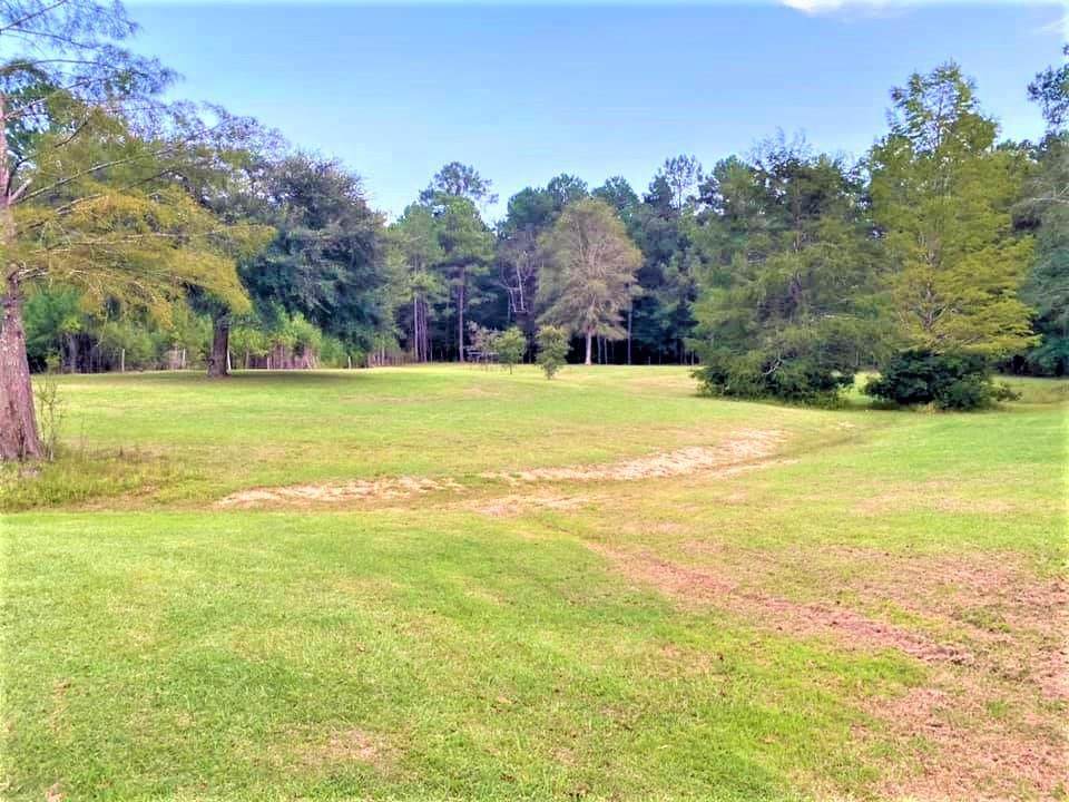 554 County Road 4368 - Photo 1