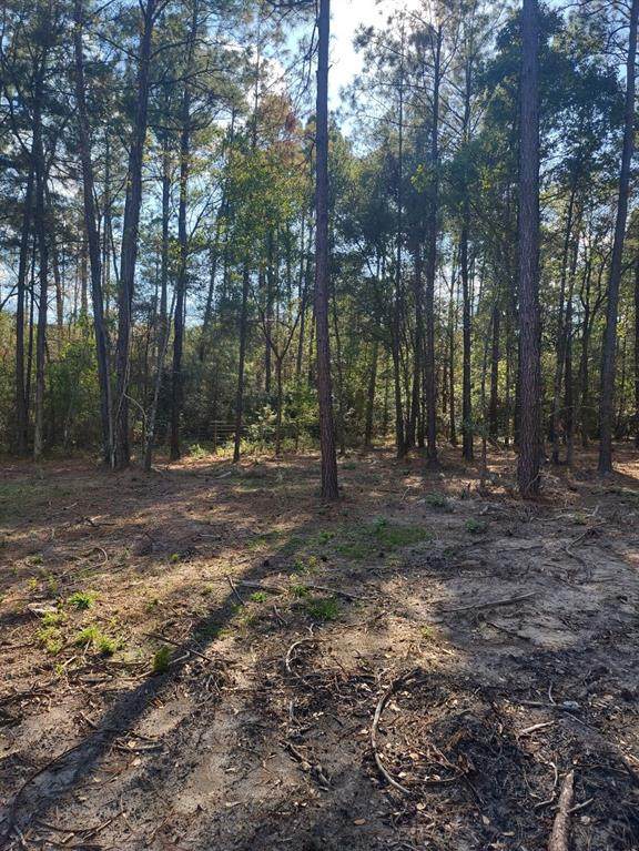 109 Utley Lane - Photo 1