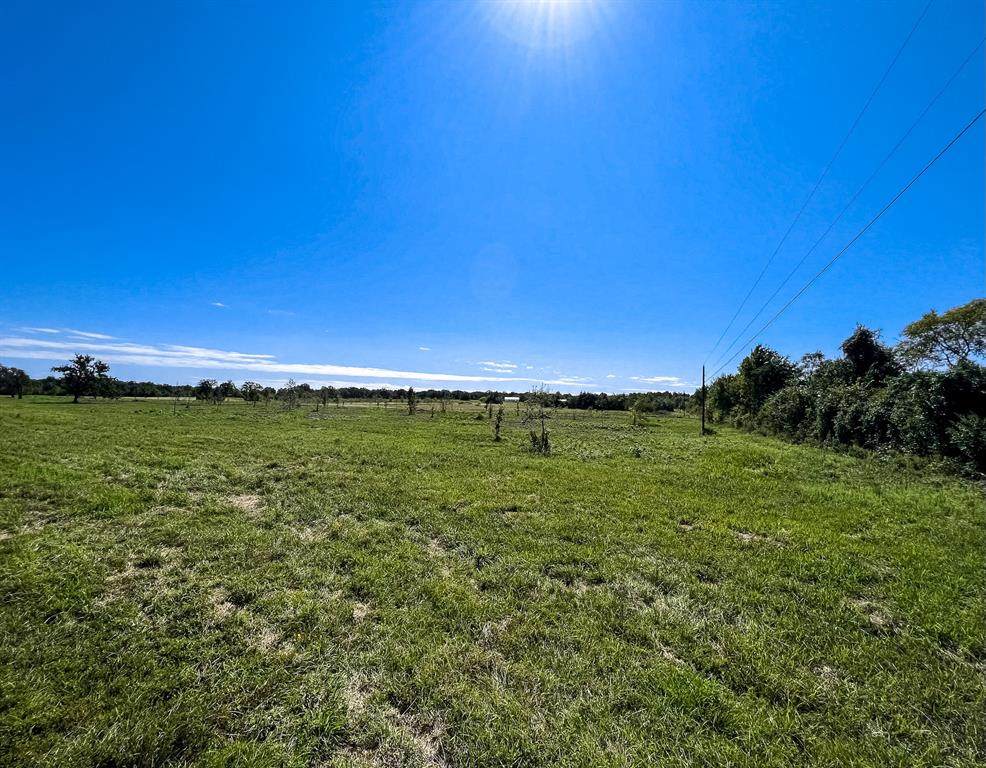 Lot 1 County Road 219 - Photo 1
