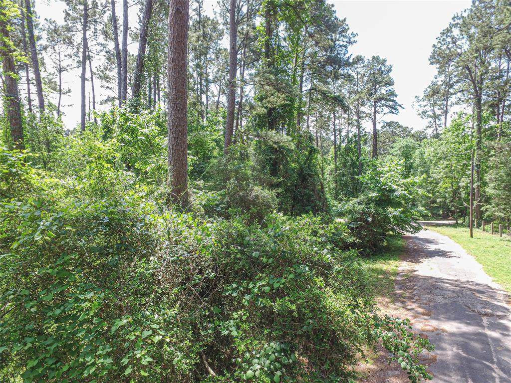 TBD Grand Pine Rd - Photo 1