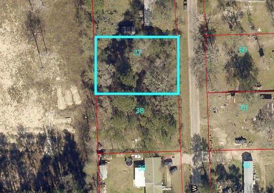 14856 Twelve Oaks - Photo 1