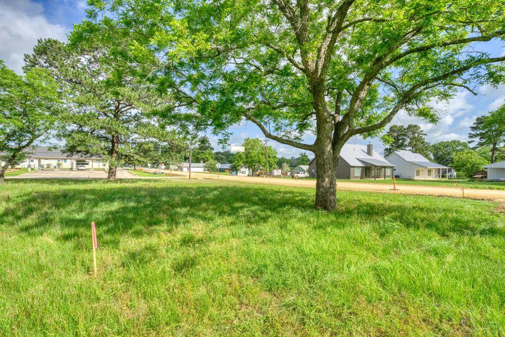 Lot 1 and 2 Elm St - Photo 1