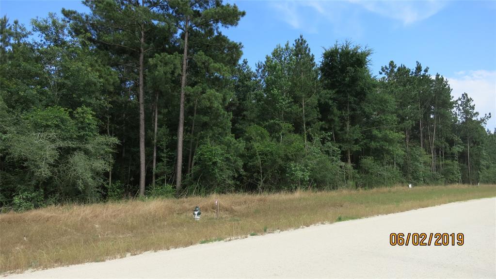 5-23-5 Lonestar Road - Photo 1
