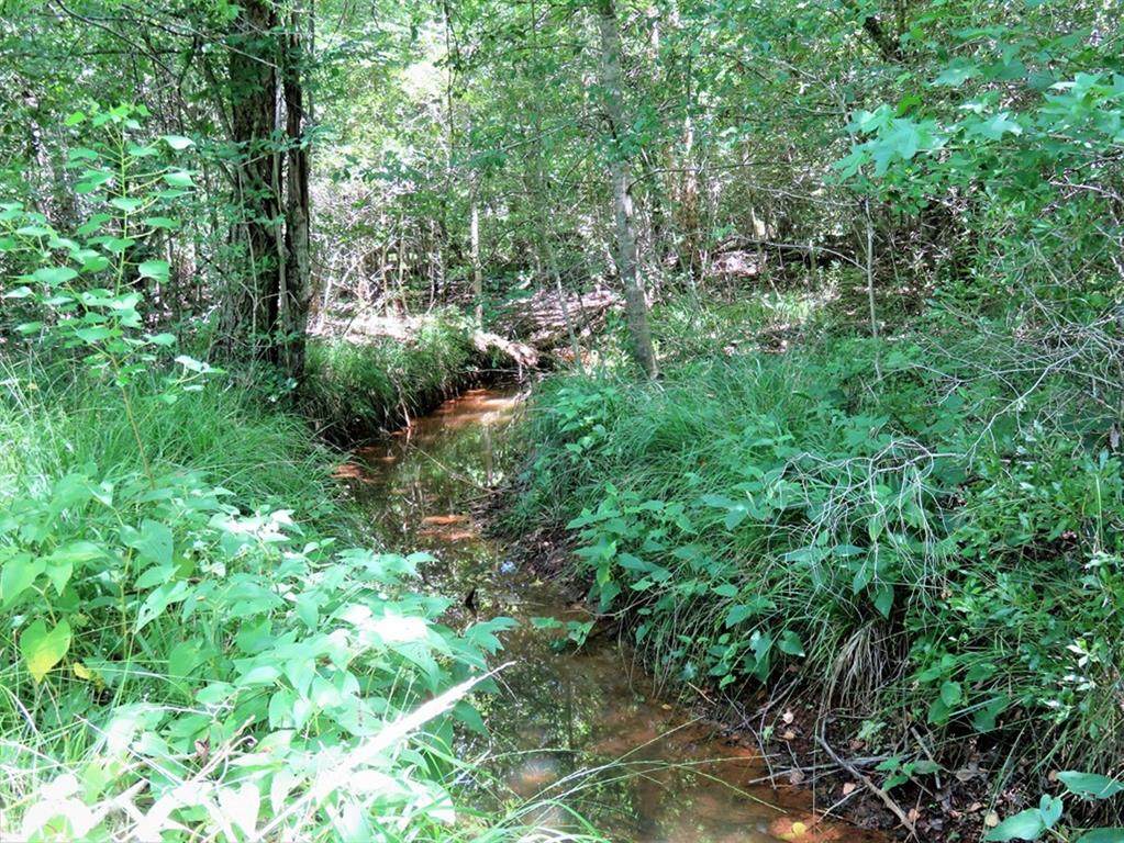 1136 An County Rd 391 - Photo 1