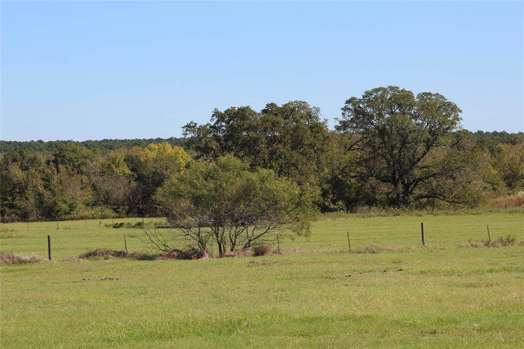 11680 Fm 1486 Road - Photo 1