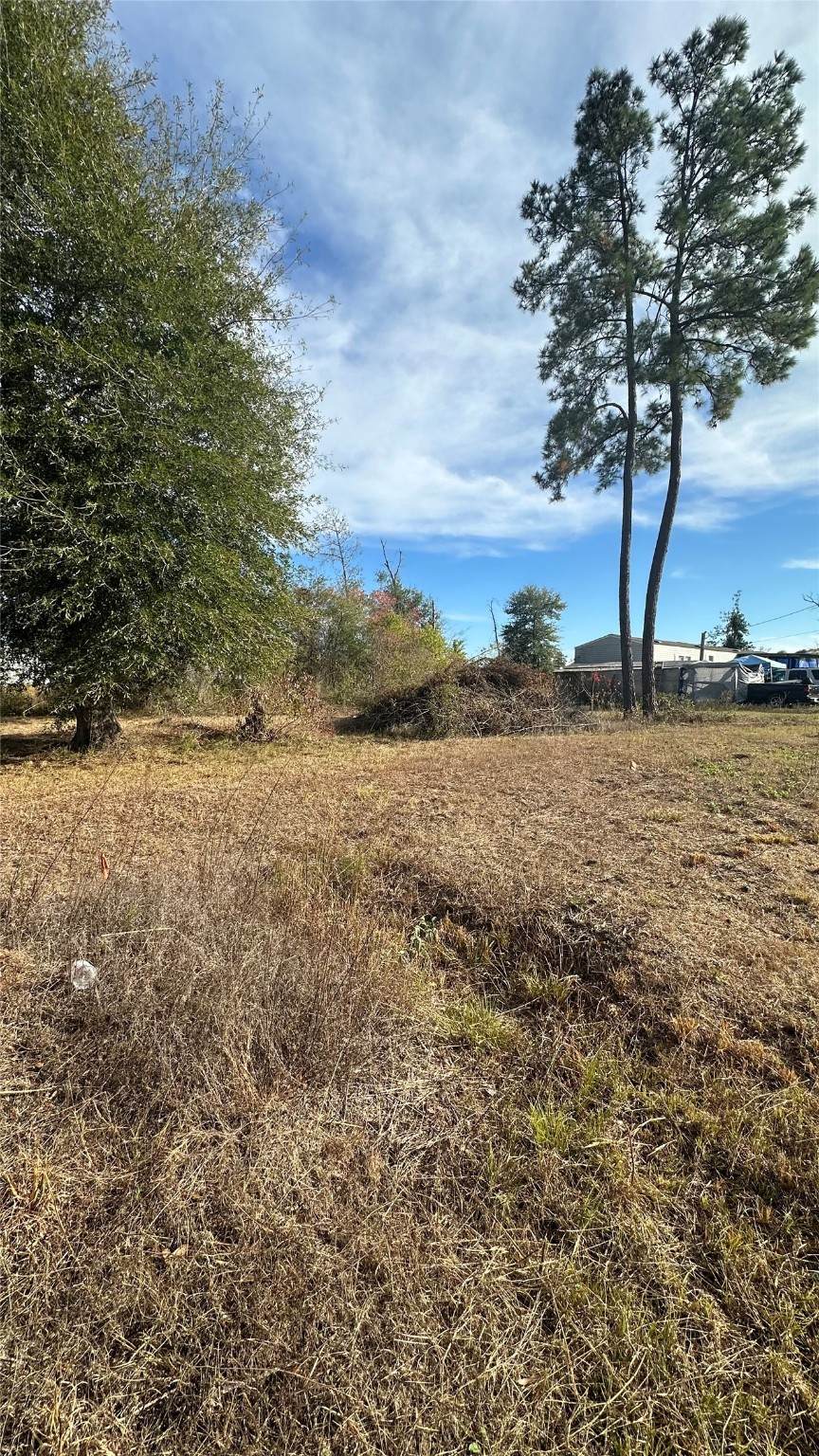 7119 Jessica Leann Drive - Photo 1