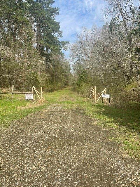 0000 County Road 166 - Photo 1