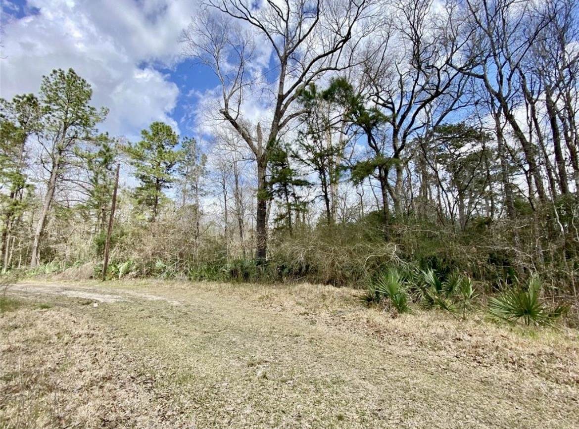 0 Puppy Lane - Photo 1