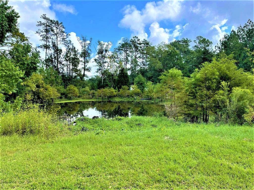 14+/- Acres Matthews Lane - Photo 1