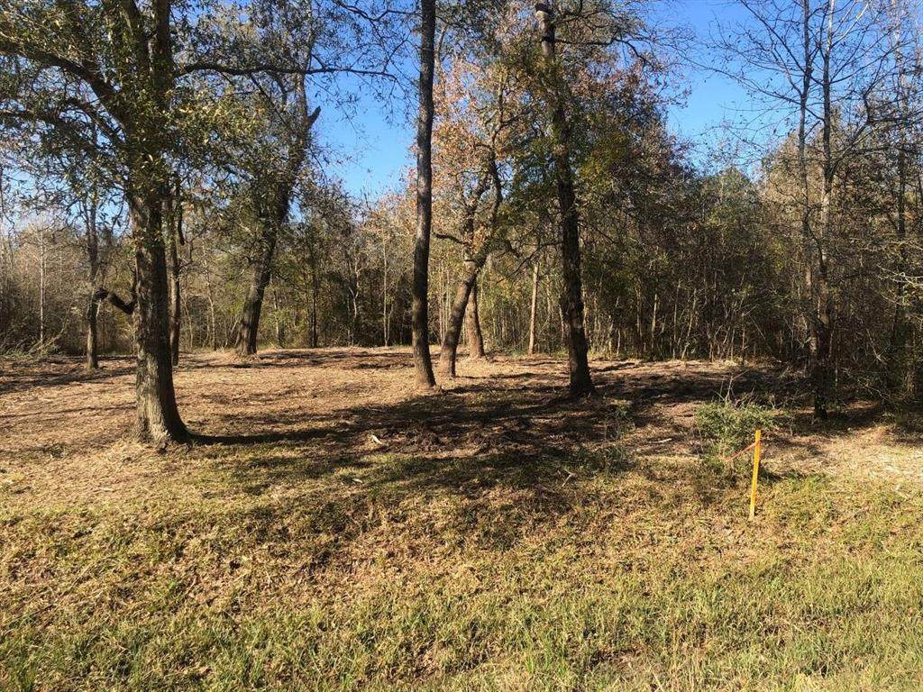 00 Susie Ln - Photo 1