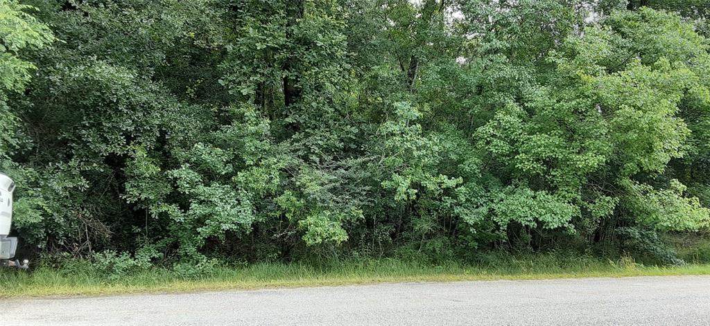 525 County Road 6479 - Photo 1