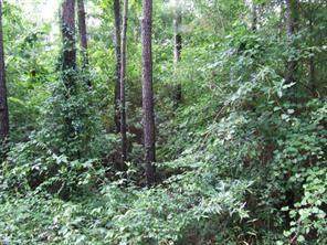 0 County Road 3669B - Photo 1