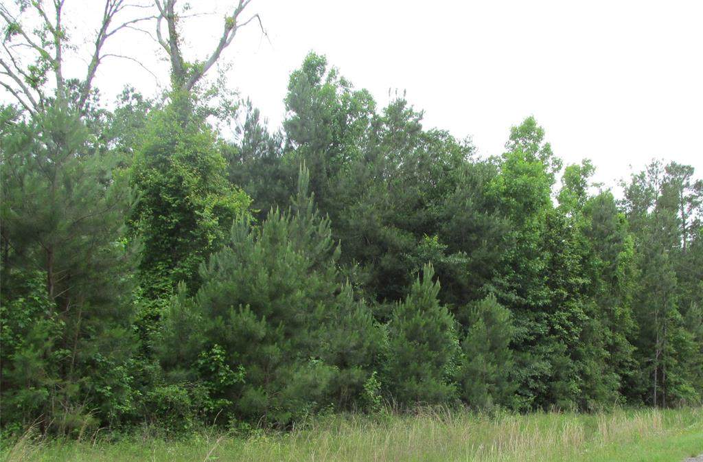 3 Pine Drive - Photo 1
