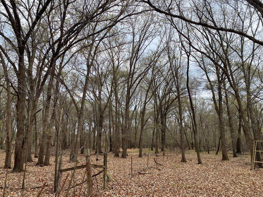 20 ac Pr 1428 - Photo 1