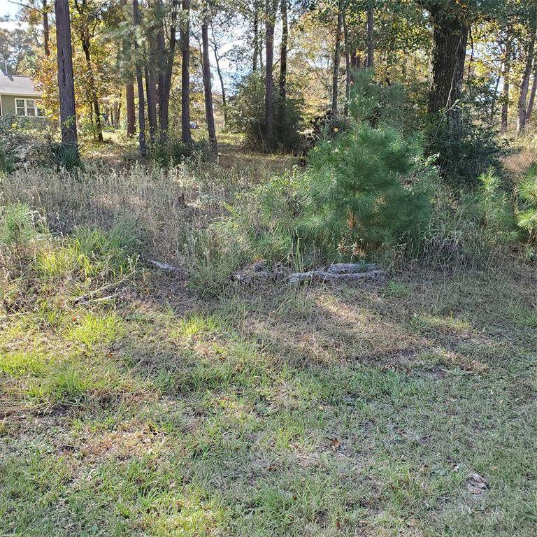 58 Forest Drive - Photo 1