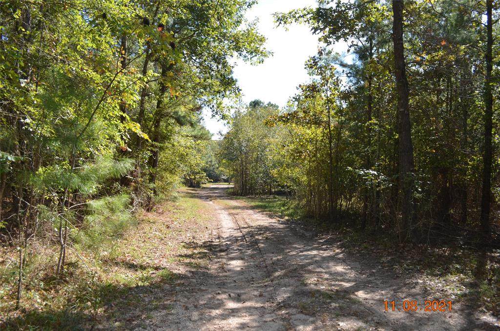 1143 Harrell Road - Photo 1
