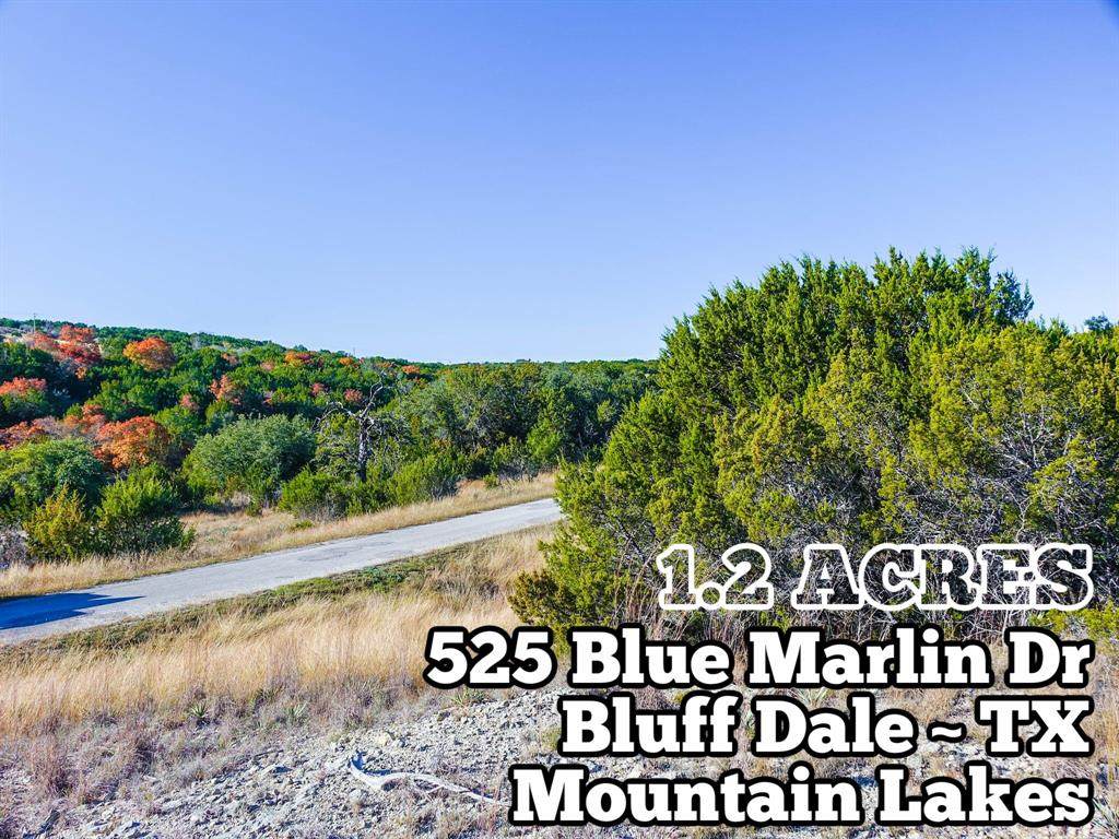 525 Blue Marlin - Photo 1